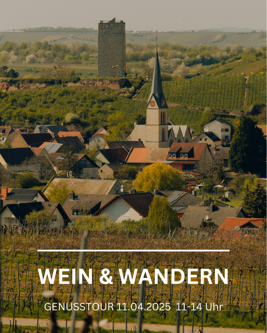 Wein & Wandern
