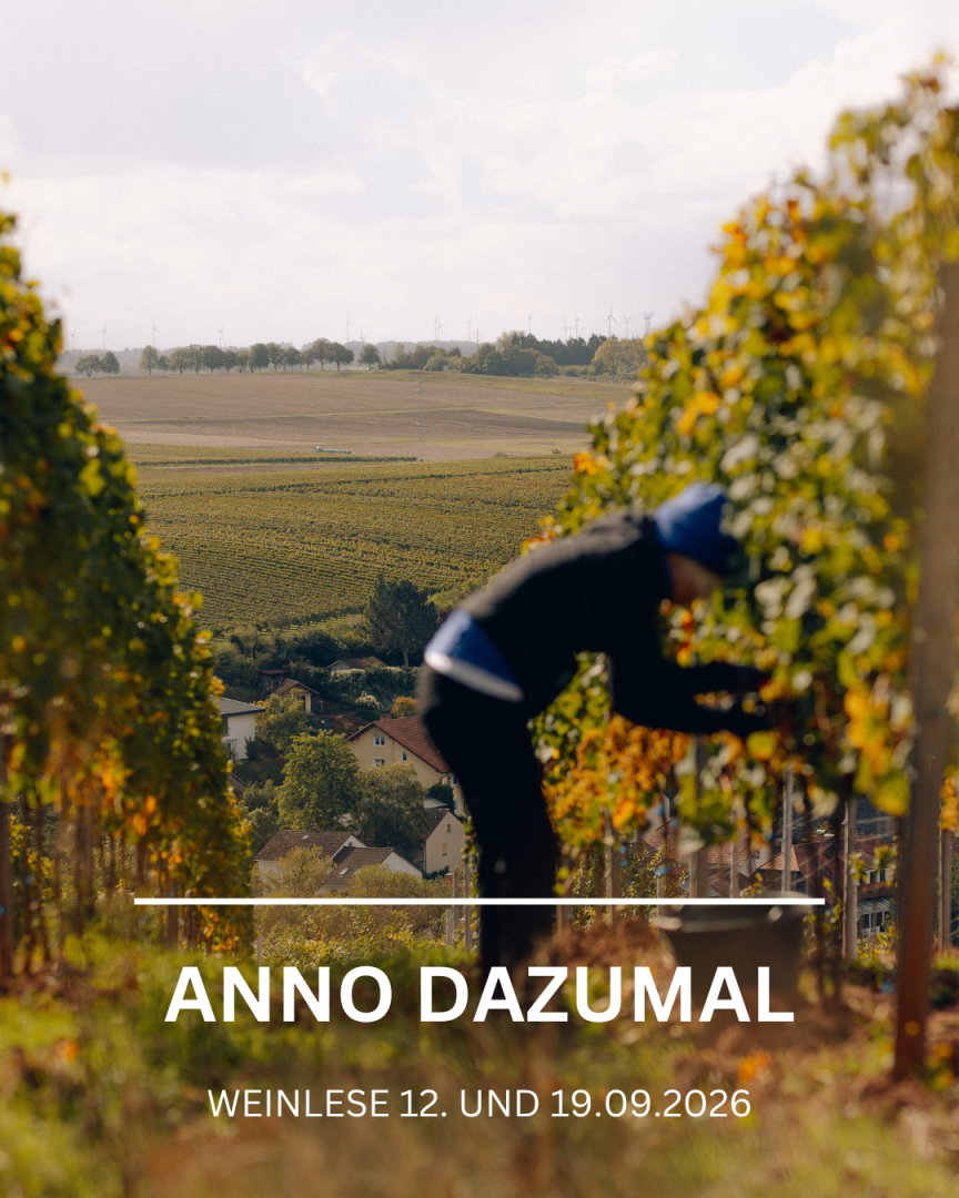 Weinlese I Anno dazumal